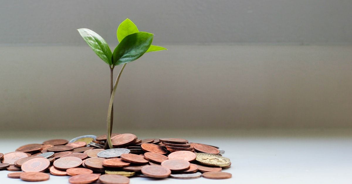 How to Measure ROI on Technology Investments — Custom Software Development article by Emirates ITS